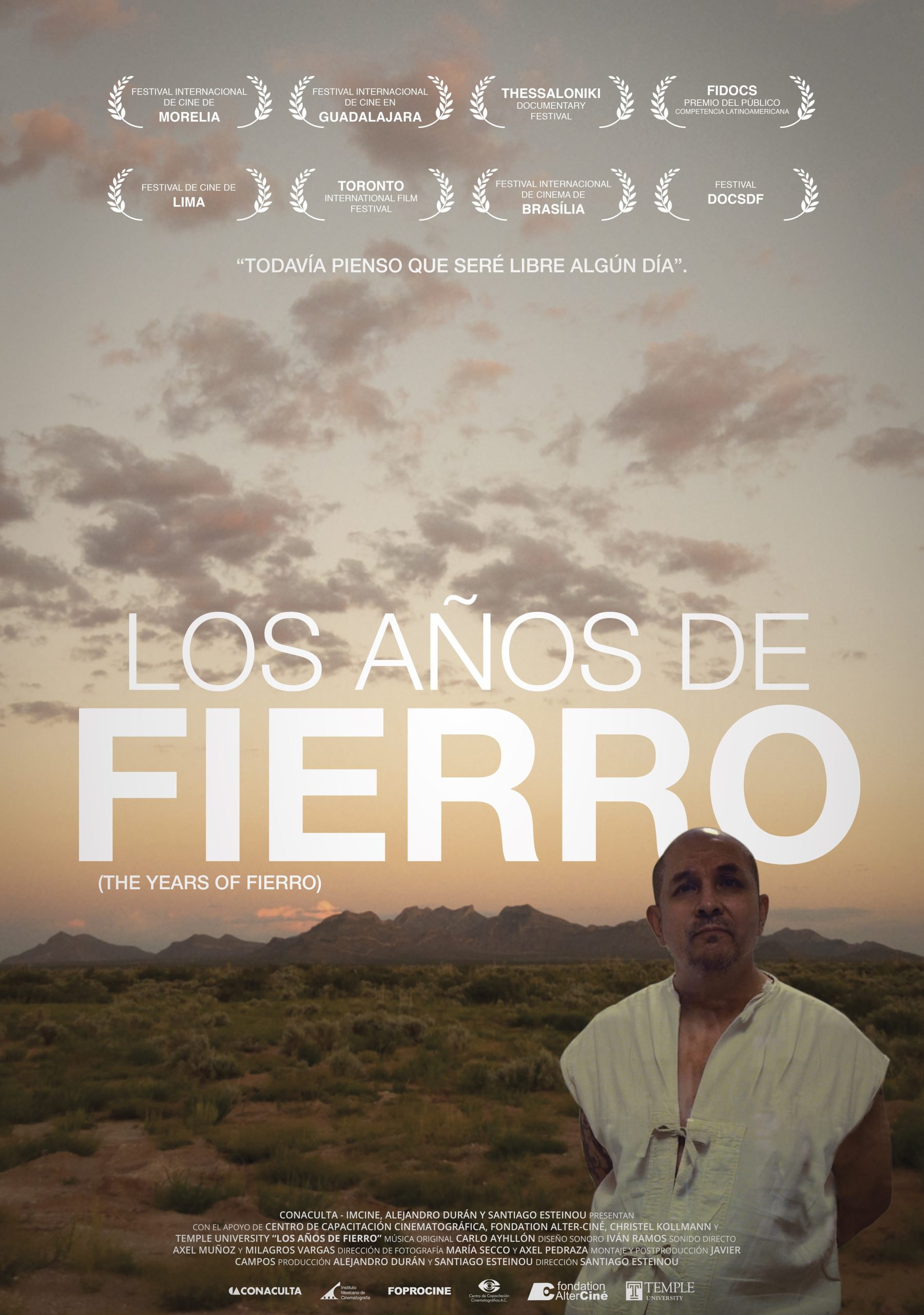 Los años de Fierro